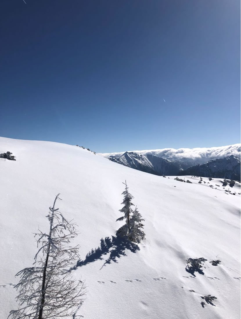 Endlose und bestens präparierte Skipisten in Flachau in Snow Space Salzburg